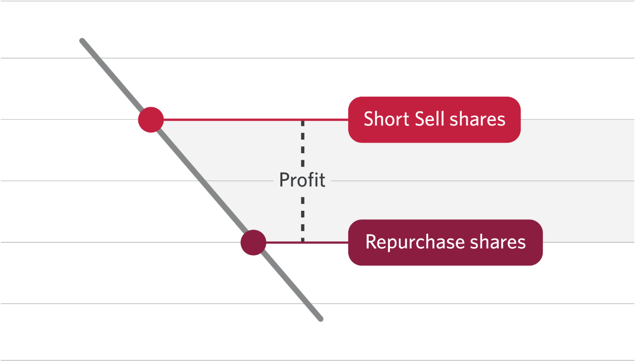 A graph plotting profit between short selling shares and repurchasing shares.