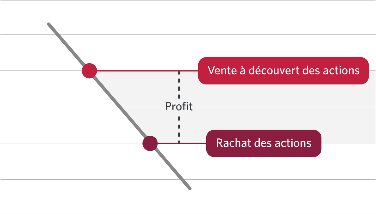 Un graphique montrant le profit réalisé entre la vente à découvert des actions et le rachat des actions.